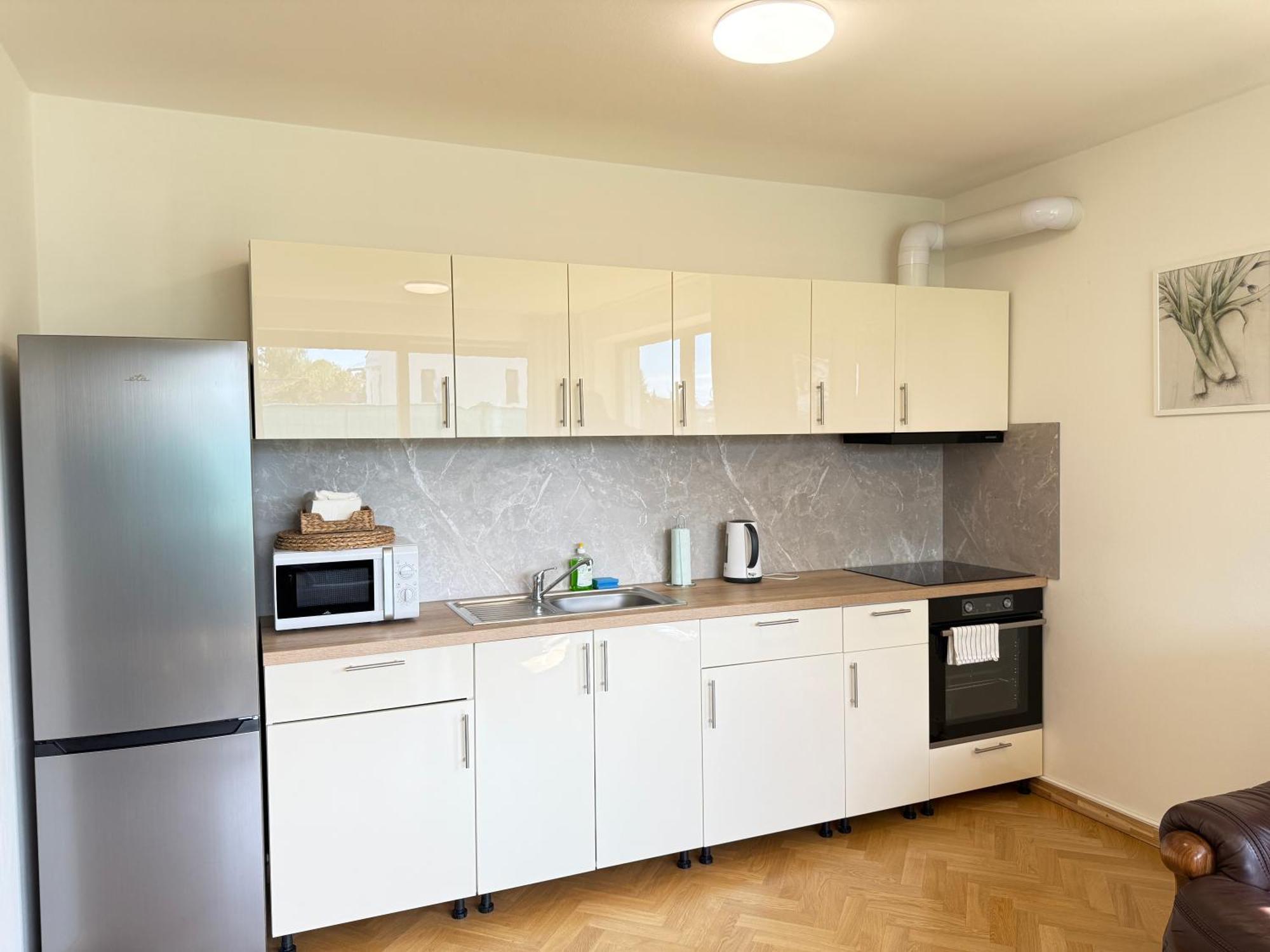 Familyvilla, New 4 Luxury Big Apartments, Parking Prag Exterior foto